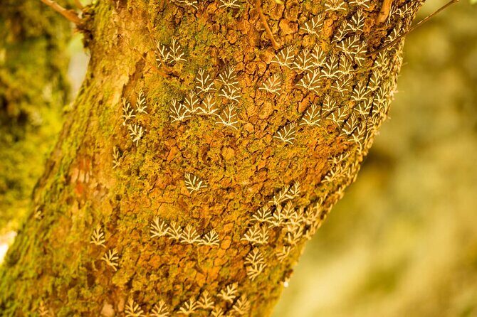 Rhodes & Lindos & Butterfly Valley - Private Half-day Excursion - Frequently Asked Questions