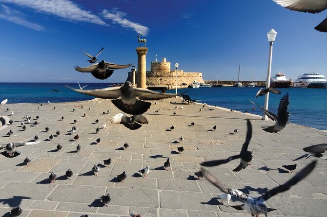 Rhodes & Lindos & Butterfly Valley - Private Half-day Excursion - Final Word