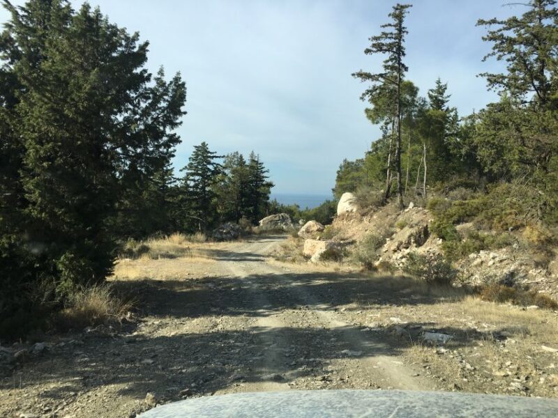 Rhodes North Safari: Hidden Paths & Scenic Flavors - A Deep Dive into the Experience