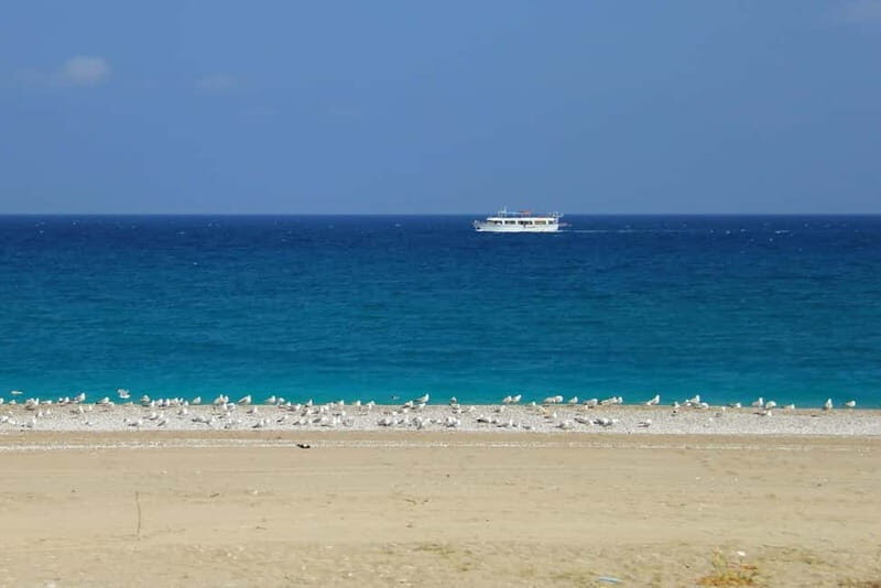 Rhodes: Safari with our driver - North - Pick ups East Coast - Who Should Consider This Tour?