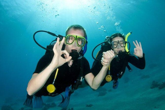 Rhodes Scuba Diving Experience - A Closer Look at the Rhodians’ Underwater World