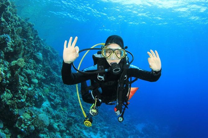 Rhodes Scuba Diving Experience - Dive Site and Visibility