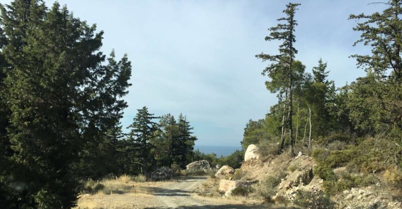 Rhodes South Safari: Mountains & Local Flavors - An In-Depth Look at the Rhodes South Safari