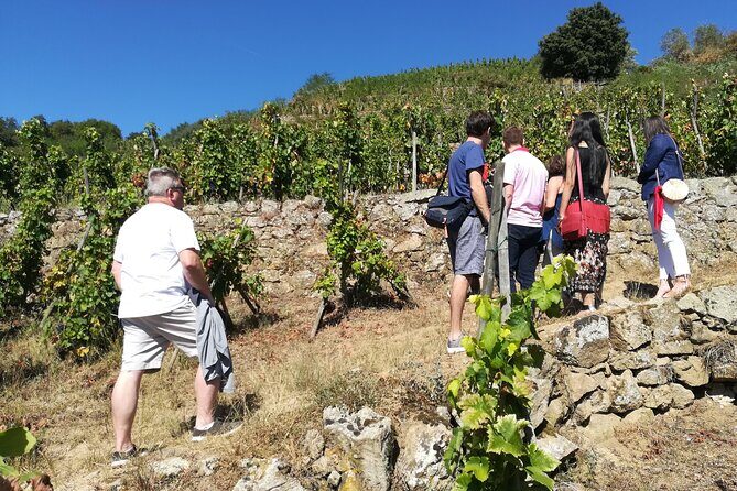 Rhône Valley Wine & Chocolate Tasting Private Day Tour from Lyon - FAQ