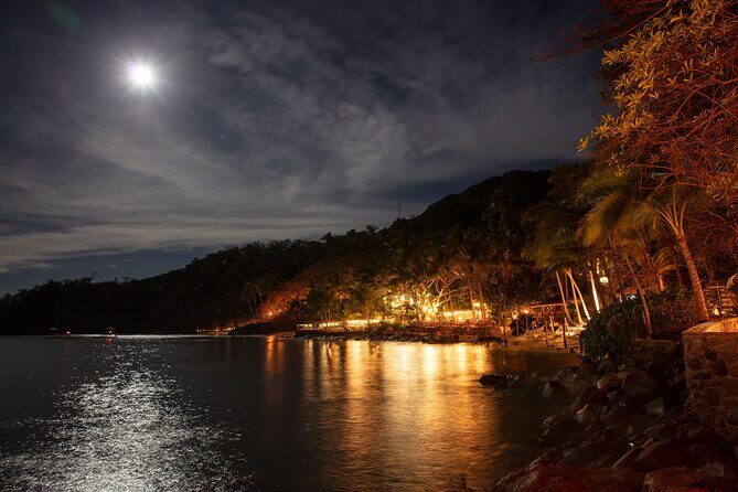 Rhythms of the Night Gourmet Dinner show, Boat Tour, open bar - Who Should Consider This Tour?