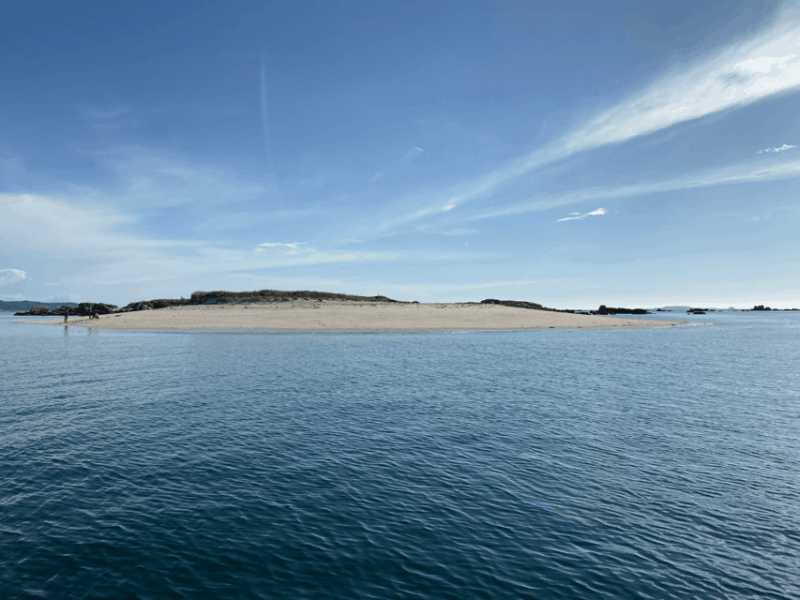 Ría De Arousa: Daytime or Sunset Sailboat Cruise With Drinks - Itinerary and Highlights