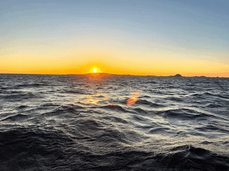 Ría De Arousa: Daytime or Sunset Sailboat Cruise With Drinks - Experiencing the Cruise