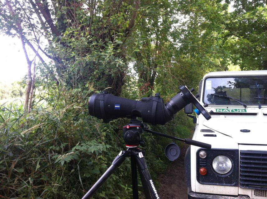 Ria De Aveiro: Birdwatching Tour (Full Day) - Pricing and Inclusions