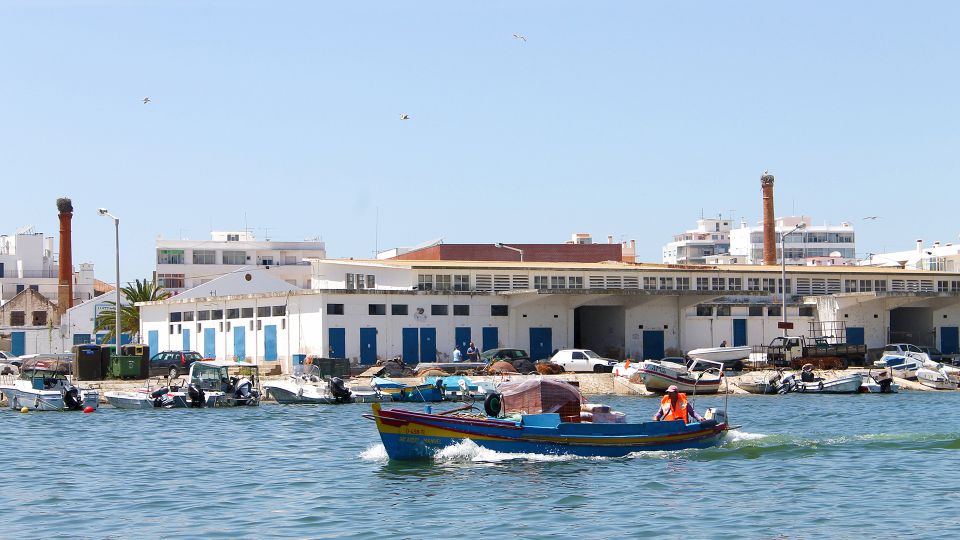 Ria Formosa: 2-Hour Fishermen Route Boat Tour - Customer Feedback and Ratings