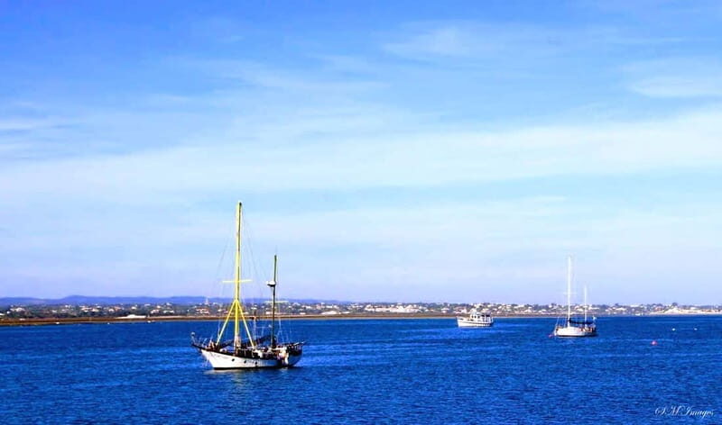 Ria Formosa 3 Islands Guided Day Trip by Boat - Olhão - The Sum Up