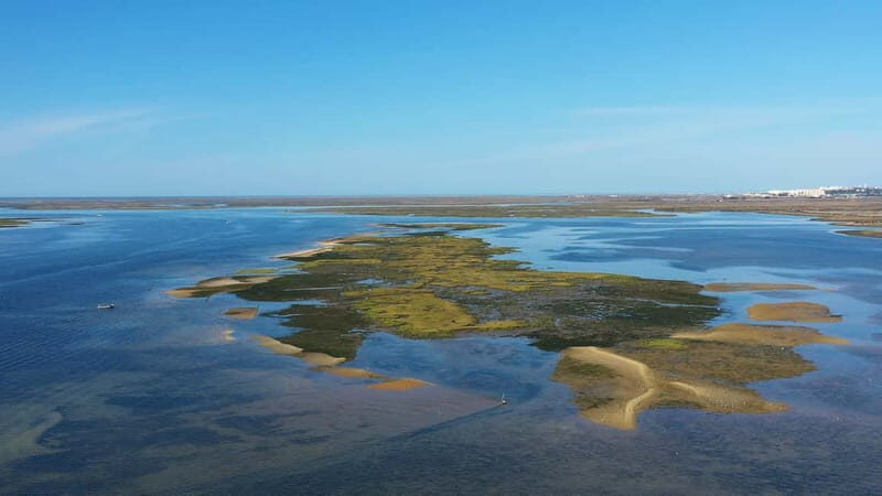 Ria Formosa: Armona and Culatra Islands 3-Hour Boat Tour - Discovering the Ria Formosa and Its Islands