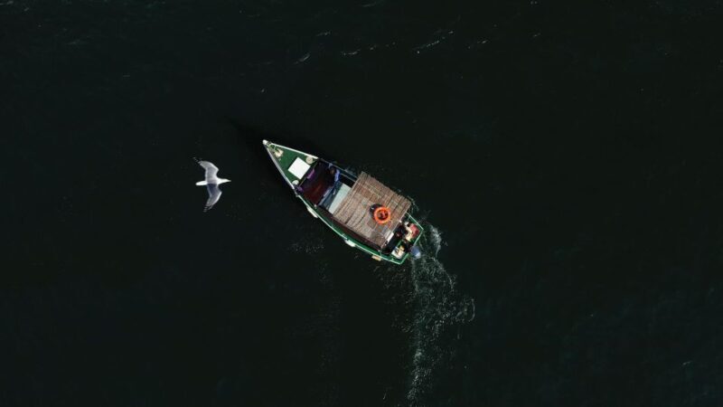 Ria Formosa: Armona and Culatra Islands 3-Hour Boat Tour - Who Will Love This Tour?