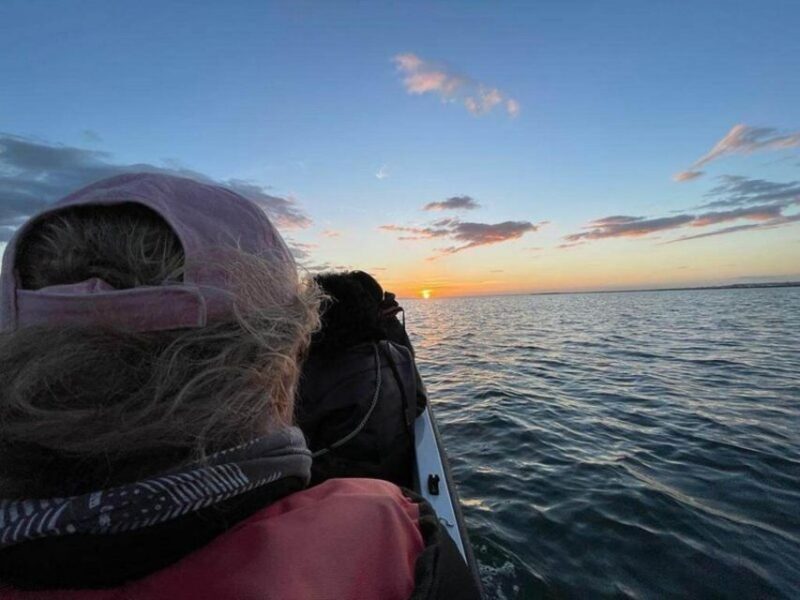Ria Formosa: Armona and Culatra Islands 3-Hour Boat Tour - Key Points