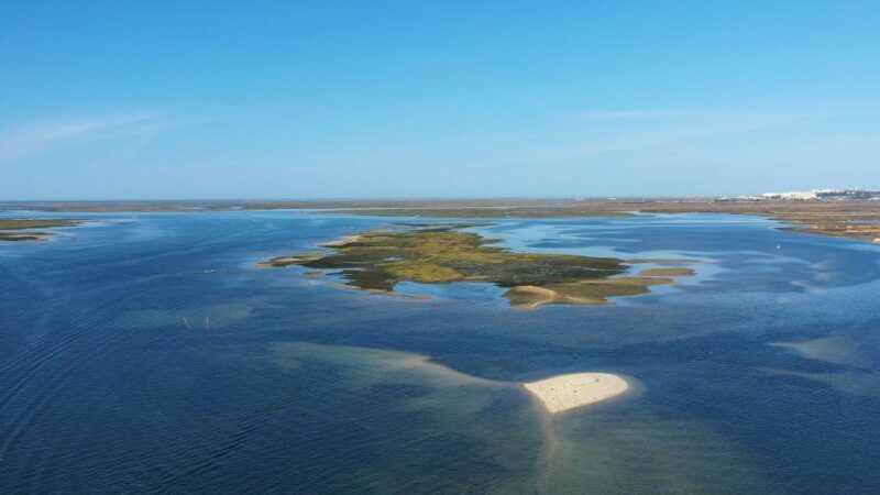 Ria Formosa: Armona and Culatra Islands 3-Hour Boat Tour - Starting Point and Setting Sail