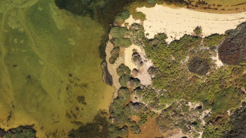 Ria Formosa: Armona and Culatra Islands 3-Hour Boat Tour - Return Journey and Final Thoughts