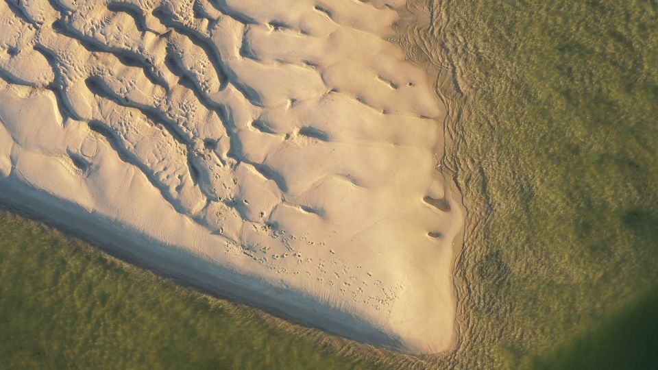 Ria Formosa: Armona and Culatra Islands Boat Tour - Important Information