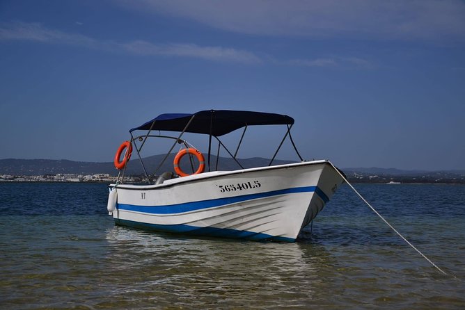 Ria Formosa - Boat Trip to the 3 Islands: Armona | Culatra Island | Lighthouse - Tour Highlights