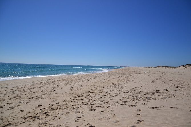 Ria Formosa & Islands : 2h00 Private Tour of Ria Formosa - Analyzing the Experience