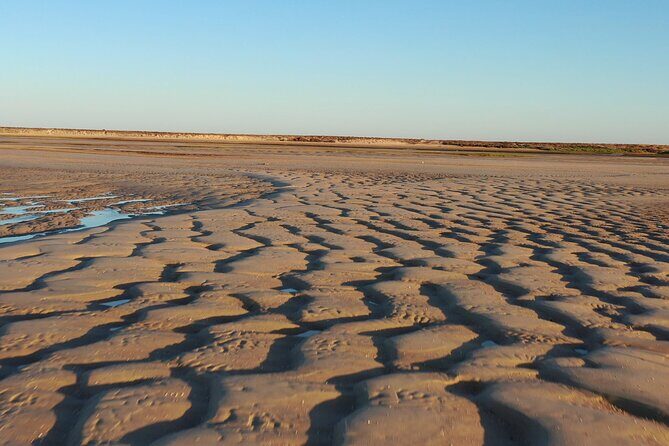 Ria Formosa & Islands : 2h00 Private Tour of Ria Formosa - Final Words: Is It Worth It?