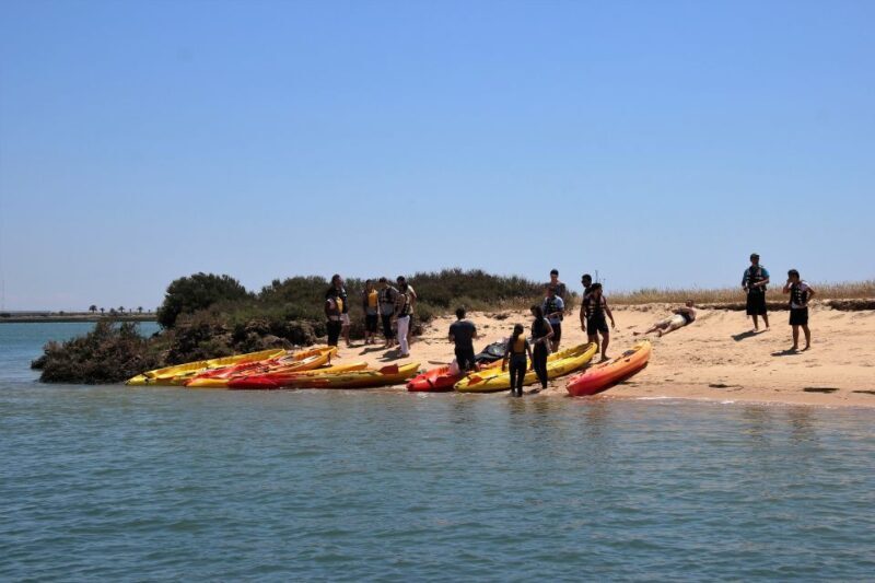 Ria Formosa National Park: Kayak Trip - An Introduction to Ria Formosa Kayak Tour