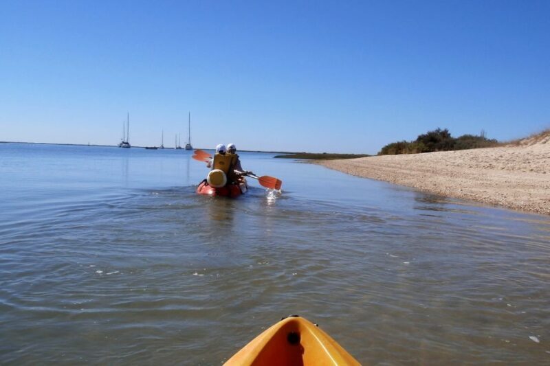 Ria Formosa National Park: Kayak Trip - Practical Details and Tips