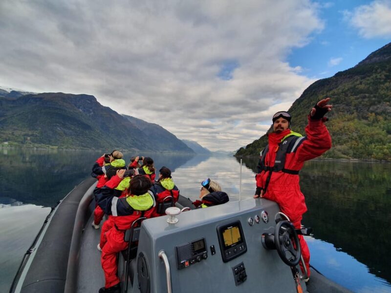 RIB Fjord Safari With Sider Tasting - Good To Know