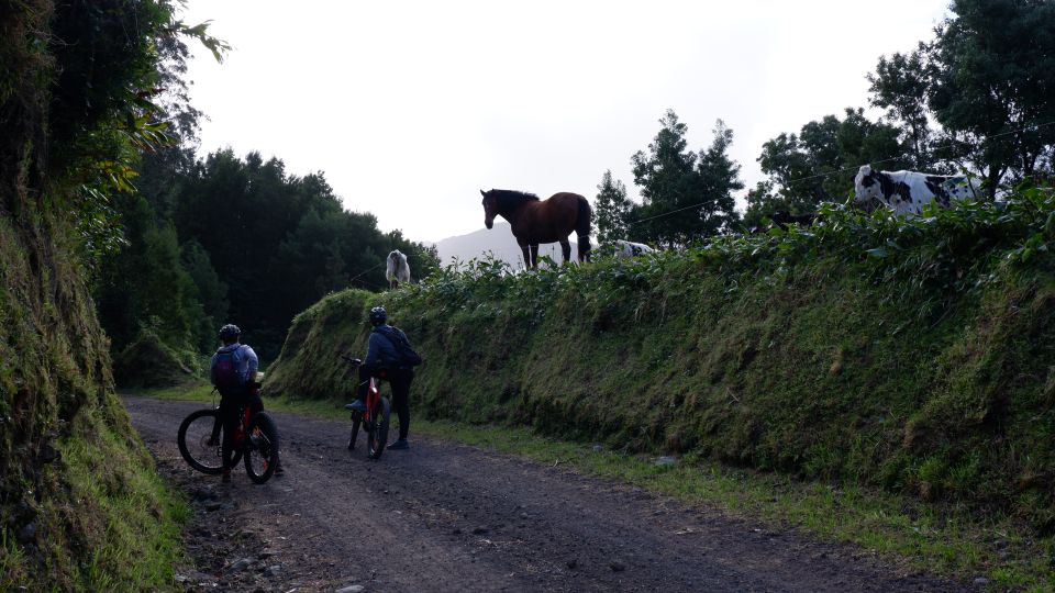 Ribeira Grande: Guided E-Bike Tour - What to Expect