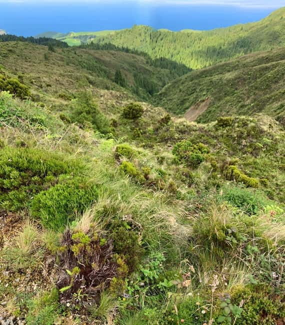 Ribeira Grande: Salto do Cabrito Hike, Culture & Picnic - Introduction: Why This Tour is a Must for Authentic São Miguel Experiences
