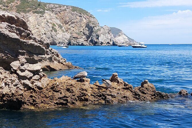 Ribeiro do Cavalo Beach Taxi Boat Transfer Round Trip - Who Will Love This Tour?