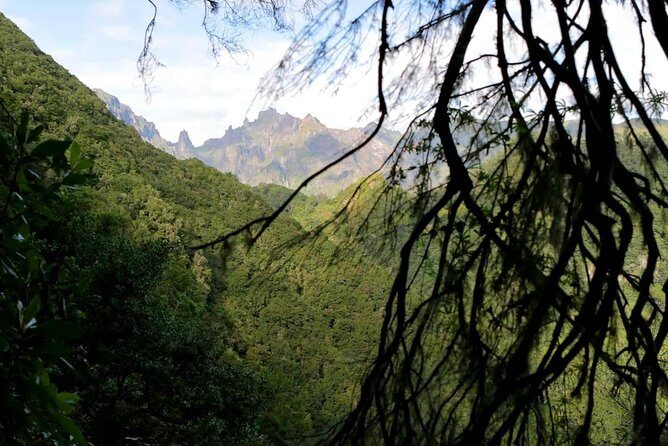 Ribeiro Frio - Portela - FAQ