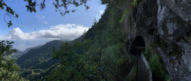 Ribeiro Frio / Portela Full day hike - The Essence of the Tour: A Natural Journey