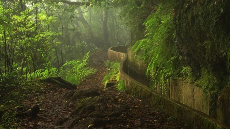 Ribeiro Frio / Portela Full day hike - The Experience in Detail