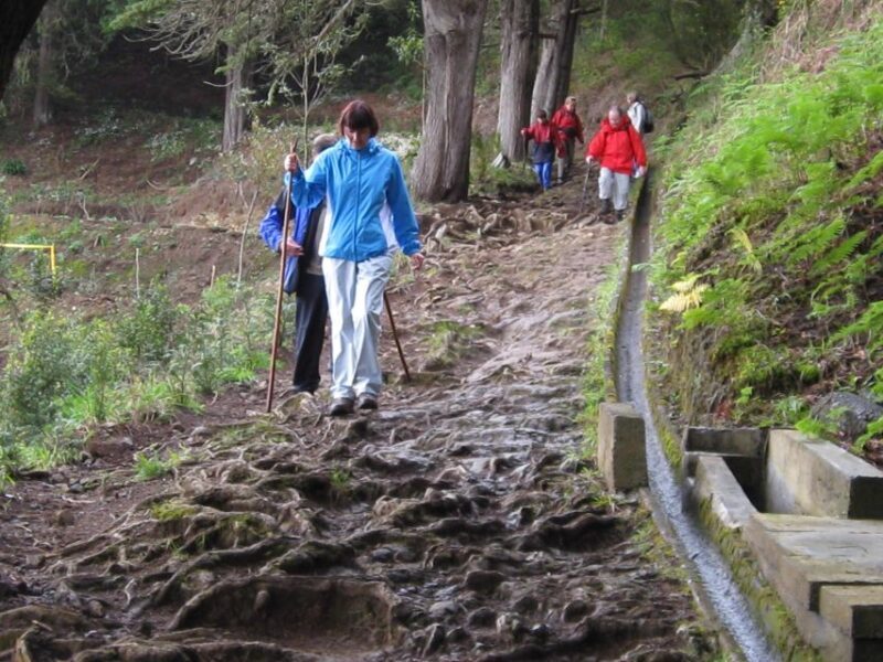 Ribeiro Frio / Portela Full day hike - The Value of the Tour