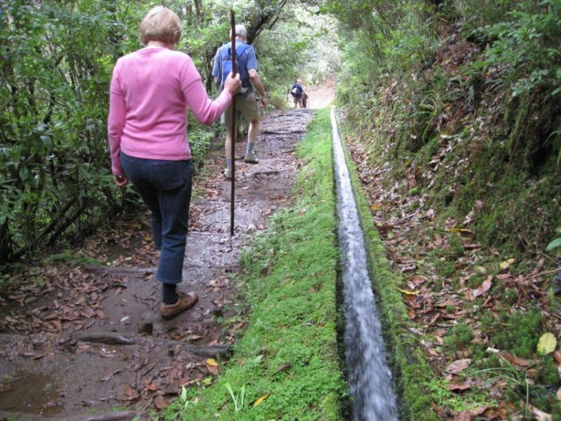 Ribeiro Frio / Portela Full day hike - Who Will Love This Tour?