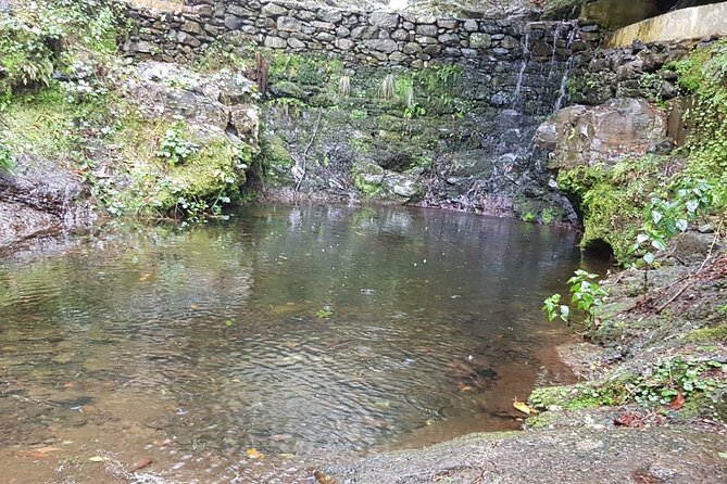 Ribeiro Frio - Portela (Full Day Walk) - Accessibility Information