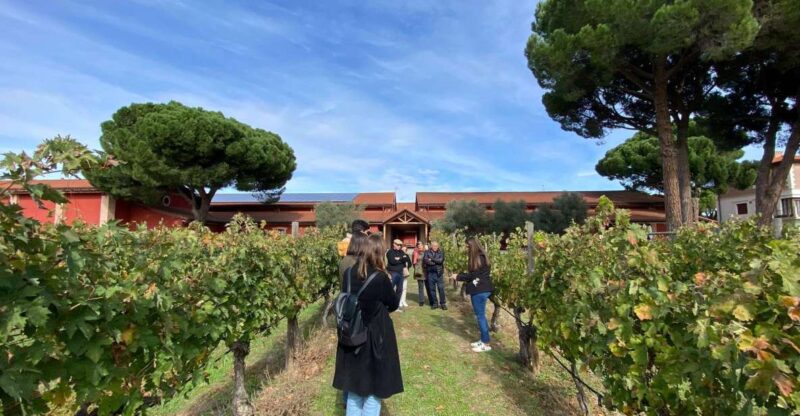 Ribera Del Duero: 2 Winery Visits and Transport From Madrid - Exploring the Ribera Del Duero Appellation