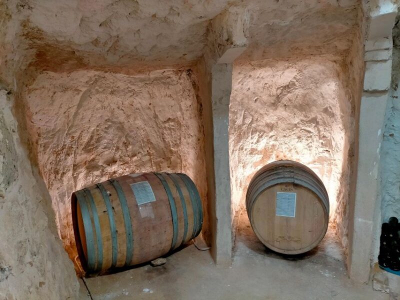 Ribera Del Duero: 2 Winery Visits and Transport From Madrid - Winery Visits and Wine Tasting