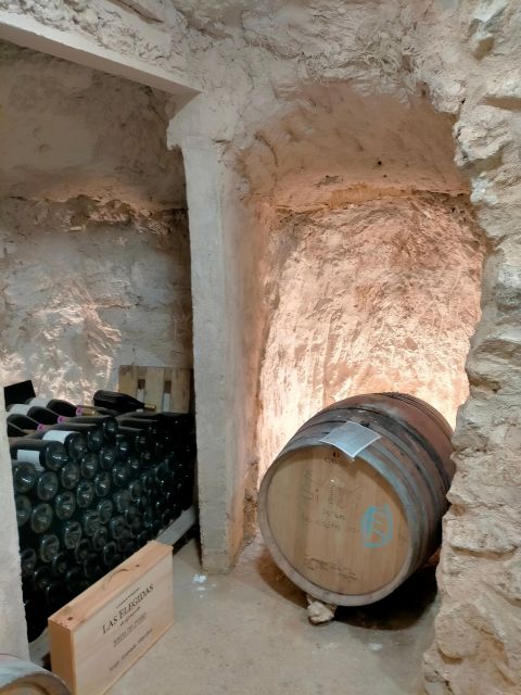 Ribera Del Duero: 2 Winery Visits and Transport From Madrid - Transportation and Pickup