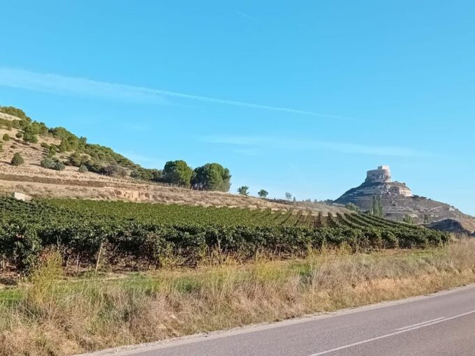 Ribera Del Duero: 2 Winery Visits and Transport From Madrid - Frequently Asked Questions