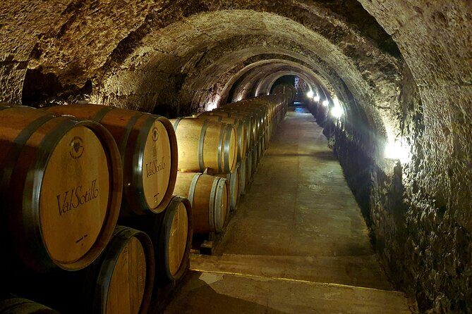 Ribera del Duero Tour: 4 Wineries Visit, Wine Tasting & Lunch - The Culinary Experience: Lunch and Pairings