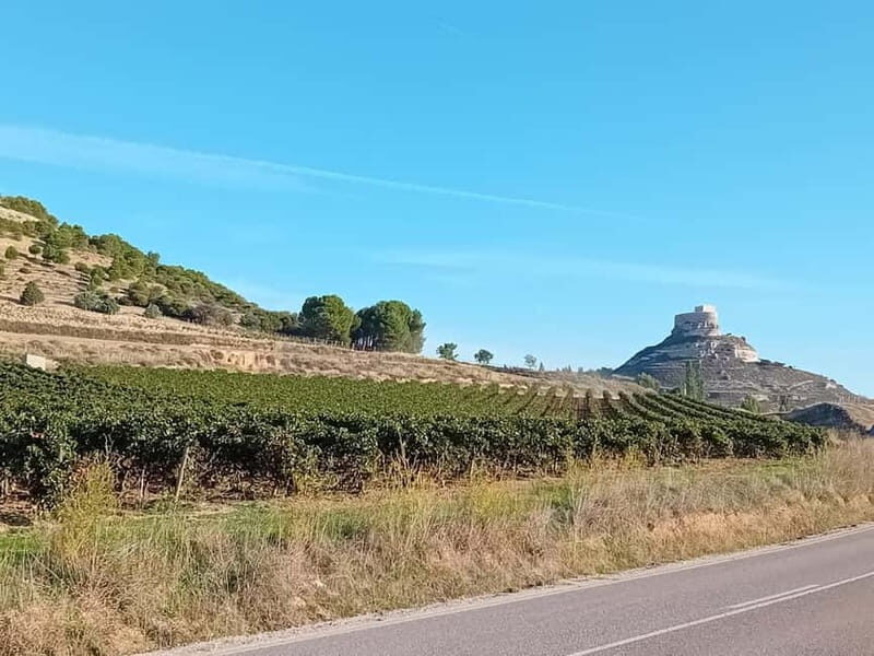 Ribera del Duero Tour: Three Wineries & Lunch from Madrid - FAQ
