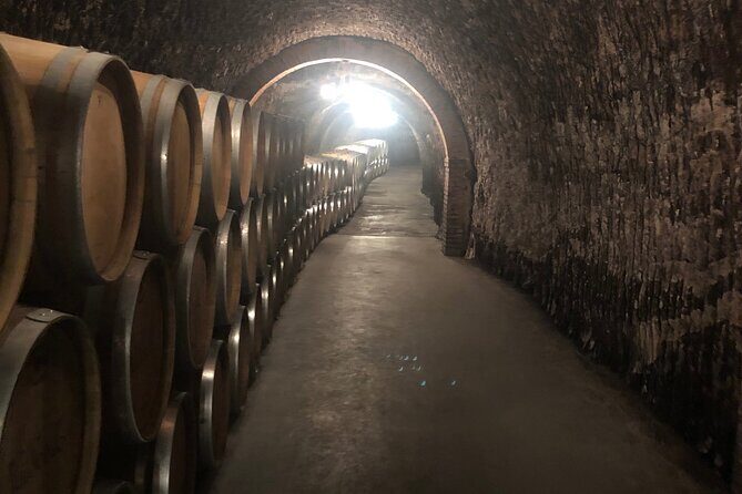 Ribera del Duero Tour: Two Wineries with Transport from Madrid - Key Points