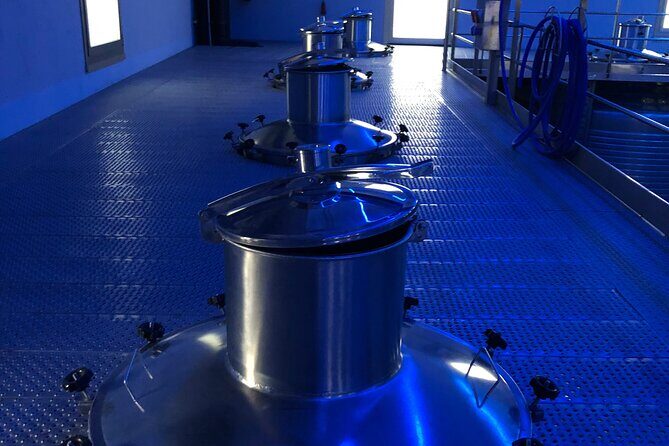 Ribera del Duero Tour: Two Wineries with Transport from Madrid - What Past Participants Say