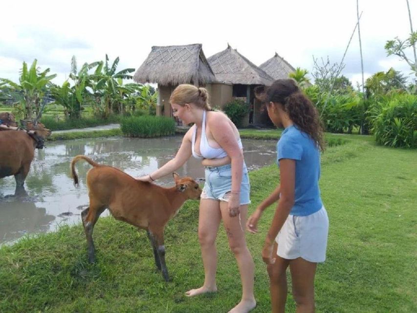 Rice Farming and Bali Village Life - Experience Highlights