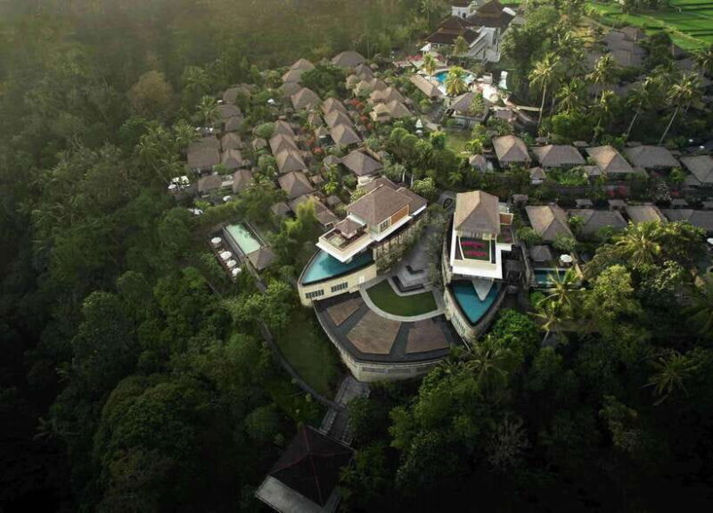 Rice Paddy Elegance: Gourmet Breakfast or High Tea in Ubud - What to Expect: An Authentic Dining Experience in the Heart of Nature