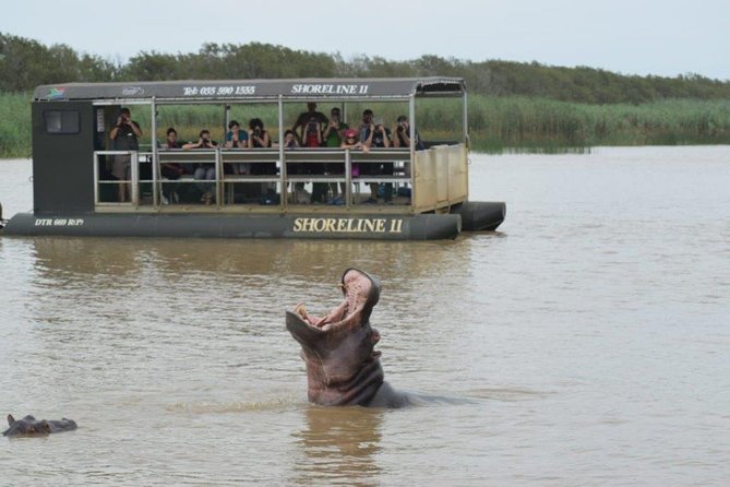 Richards Bay Shore Excursion: Small Group Hluhluwe & St Lucia - Itinerary Overview