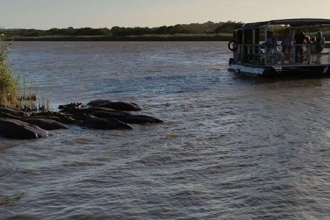 Richards Bay Shore Excursion: Small Group Hluhluwe & St Lucia - Booking Information and Pricing