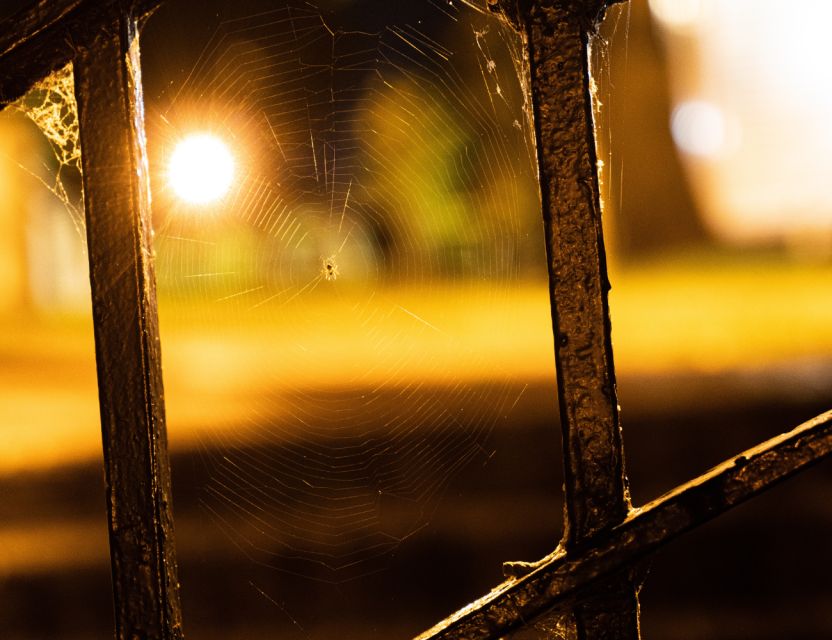 Richmond Ghosts Boos and Booze Haunted Pub Crawl - Key Points
