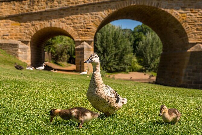 Richmond Historic Afternoon Tour from Hobart - The Sum Up