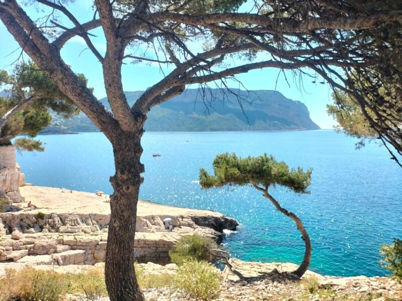 Richness of Provence in One Day - Customizable Private Trip - Itinerary Highlights